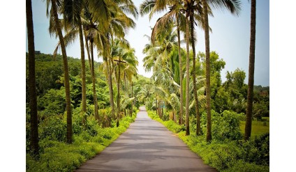 Goa Holiday Package 2N/ 3D